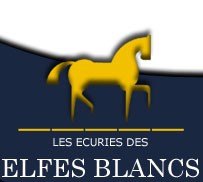 Logo LES ECURIES DES ELFES BLANCS SARL